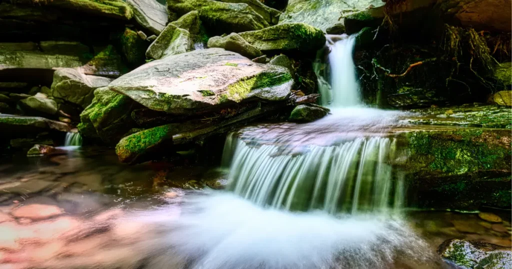 Wu Wei: A Arte de Viver com Leveza e Parar de Lutar Contra o Fluxo da Vida